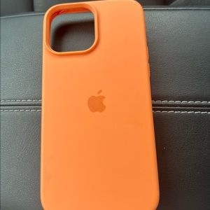 iPhone 13 pro max MagSafe apple silicone case